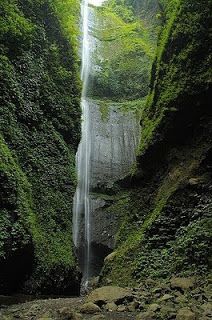 Detail Poto Pemandangan Air Terjun Nomer 30