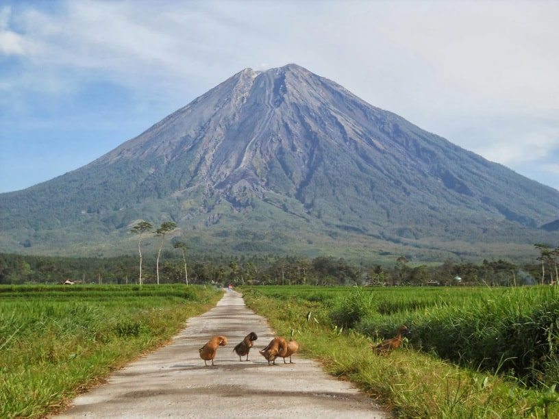 Detail Poto Pemandangan Gunung Nomer 14