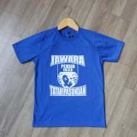 Detail Poto Persib Lucu Nomer 44