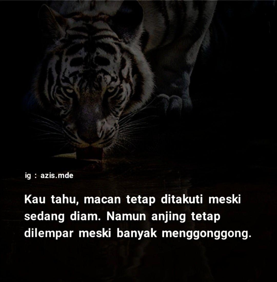 Detail Potongan Gambar Angkrok Harimau Nomer 8