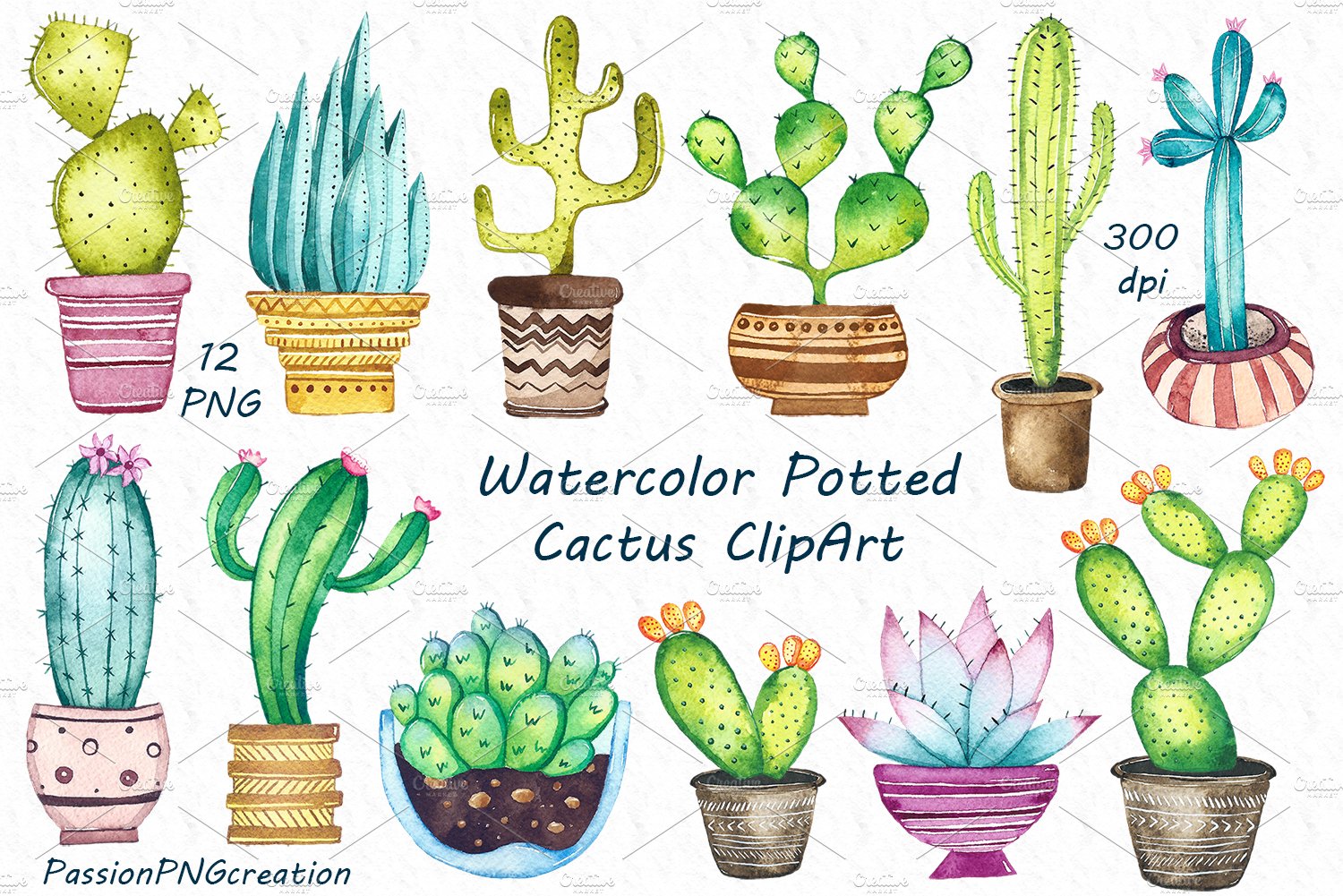 Detail Potted Cactus Clipart Nomer 12