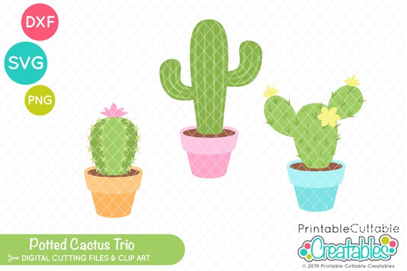 Detail Potted Cactus Clipart Nomer 16