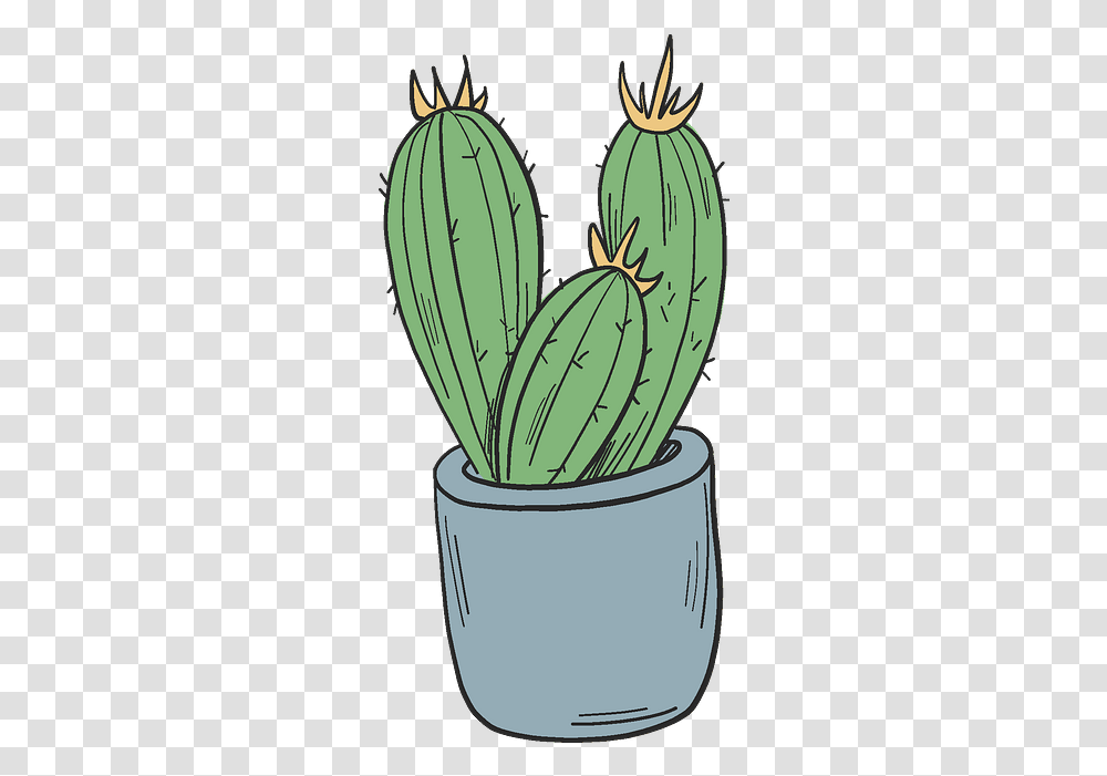 Detail Potted Cactus Clipart Nomer 29