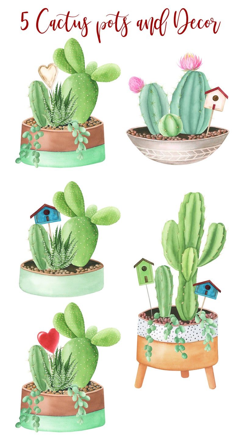 Detail Potted Cactus Clipart Nomer 31