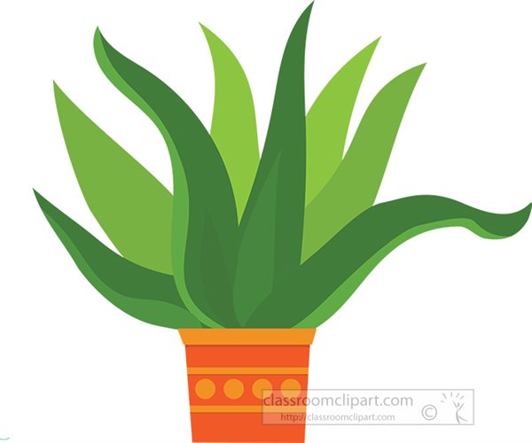 Detail Potted Cactus Clipart Nomer 33