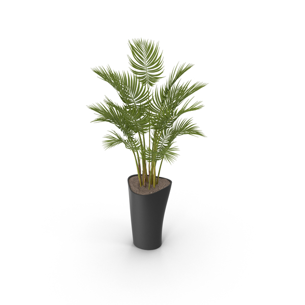 Detail Potted Plant Png Nomer 4