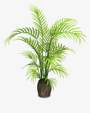 Detail Potted Plant Png Nomer 40