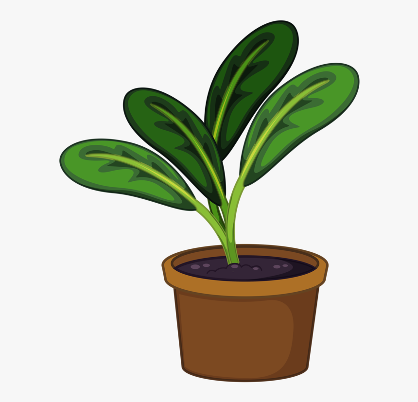 Detail Potted Plant Png Nomer 44