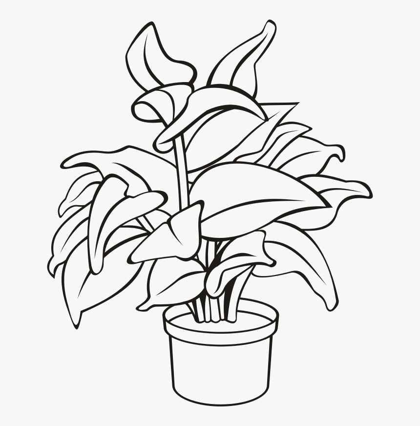 Detail Potted Plant Png Nomer 53