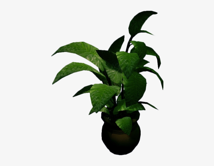 Detail Potted Plant Png Nomer 8