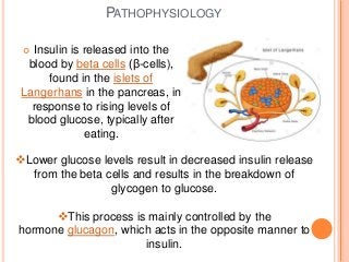 Detail Power Point Diabetes Melitus Nomer 2