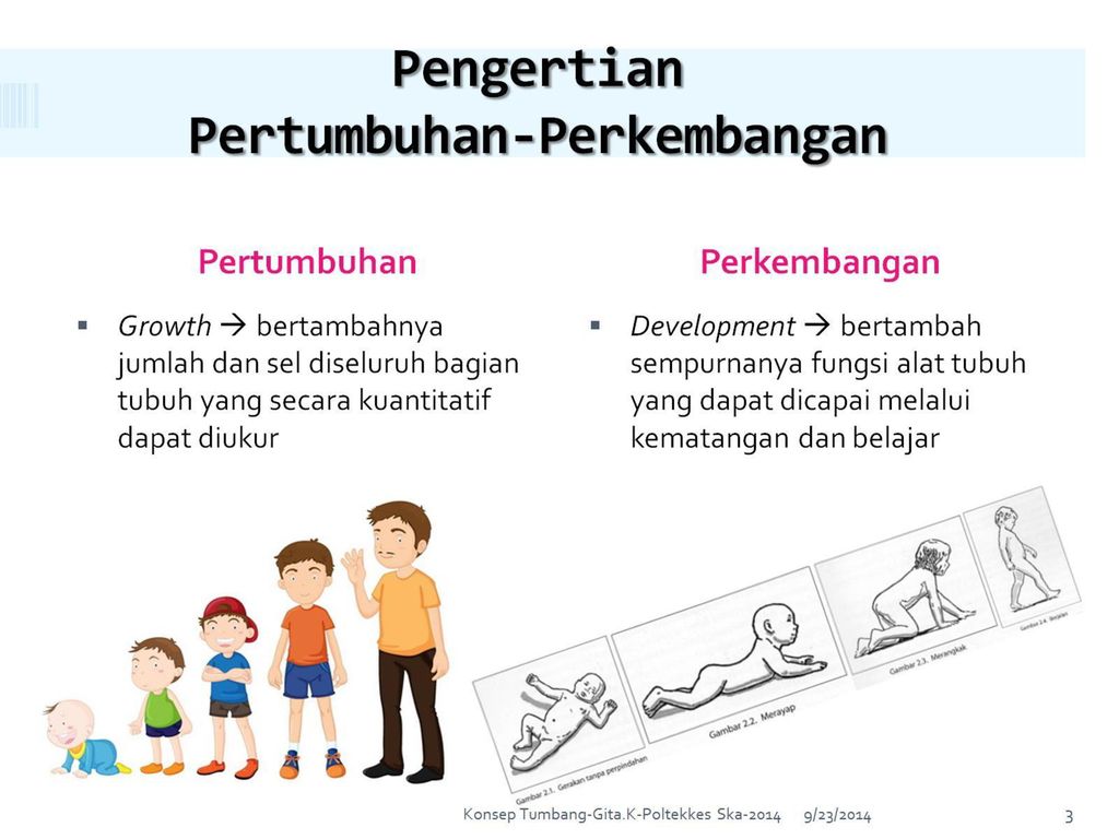 Detail Power Point Materi Tumbuh Kembang Anak Nomer 4