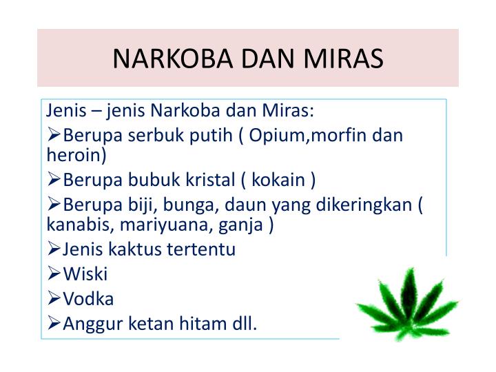 Detail Power Point Narkoba Dan Pergaulan Bebas Nomer 7