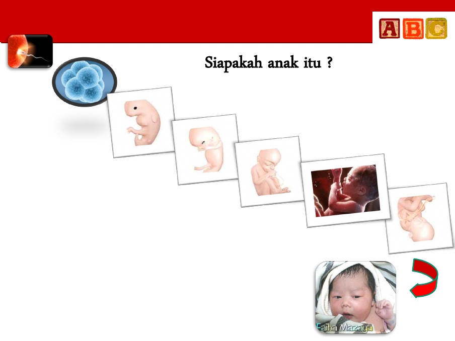 Detail Power Point Psikologi Perkembangan Anak Nomer 54