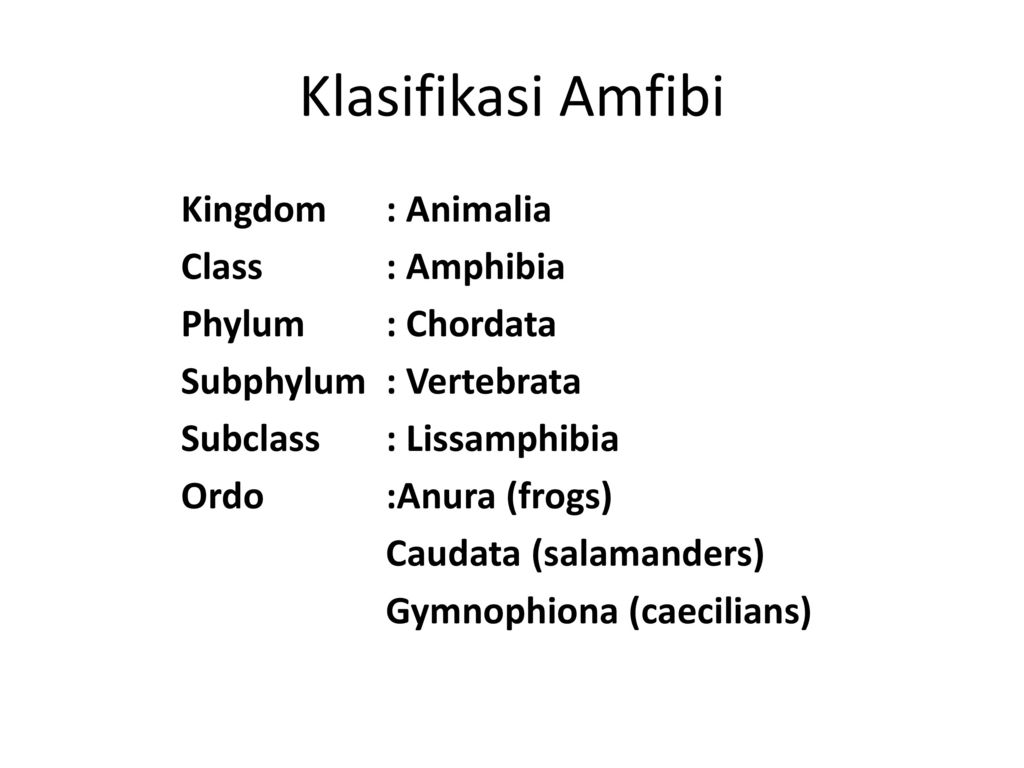 Detail Power Point Tentang Amfibi Nomer 21