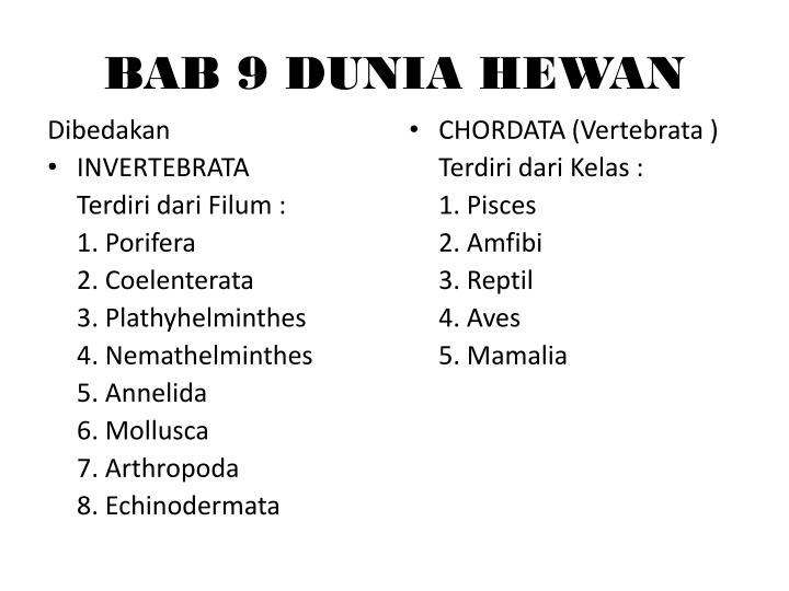 Detail Power Point Tentang Amfibi Nomer 25