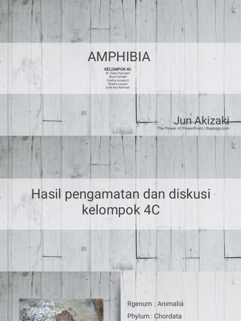 Detail Power Point Tentang Amfibi Nomer 37