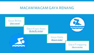 Detail Power Point Tentang Renang Nomer 11