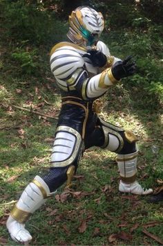 Detail Power Rangers Harimau Nomer 10