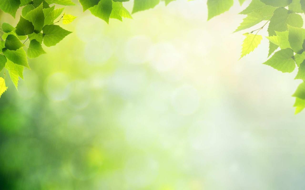 Detail Powerpoint Background Nature Hd Nomer 17