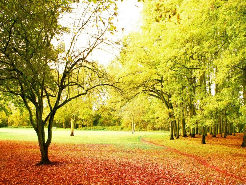 Detail Powerpoint Background Nature Hd Nomer 24