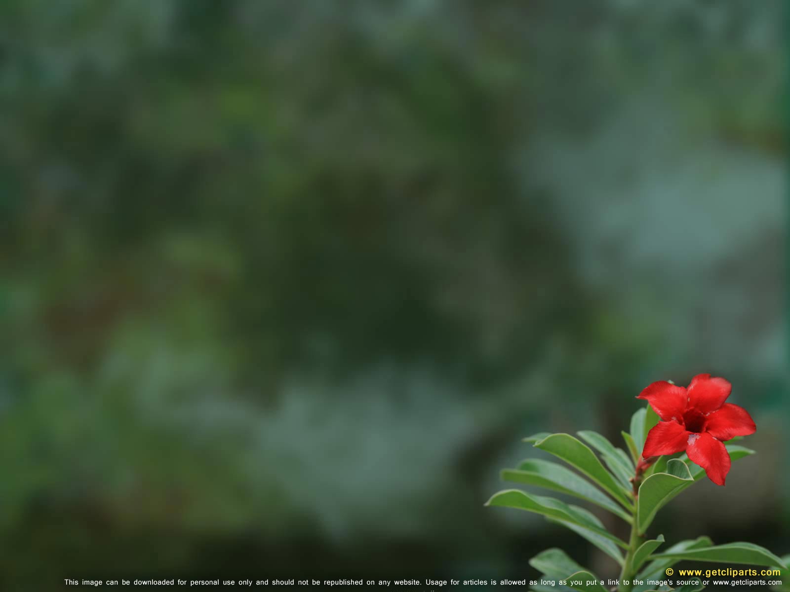 Detail Powerpoint Background Nature Hd Nomer 25