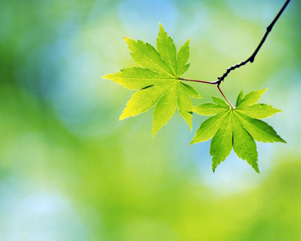 Detail Powerpoint Background Nature Hd Nomer 31