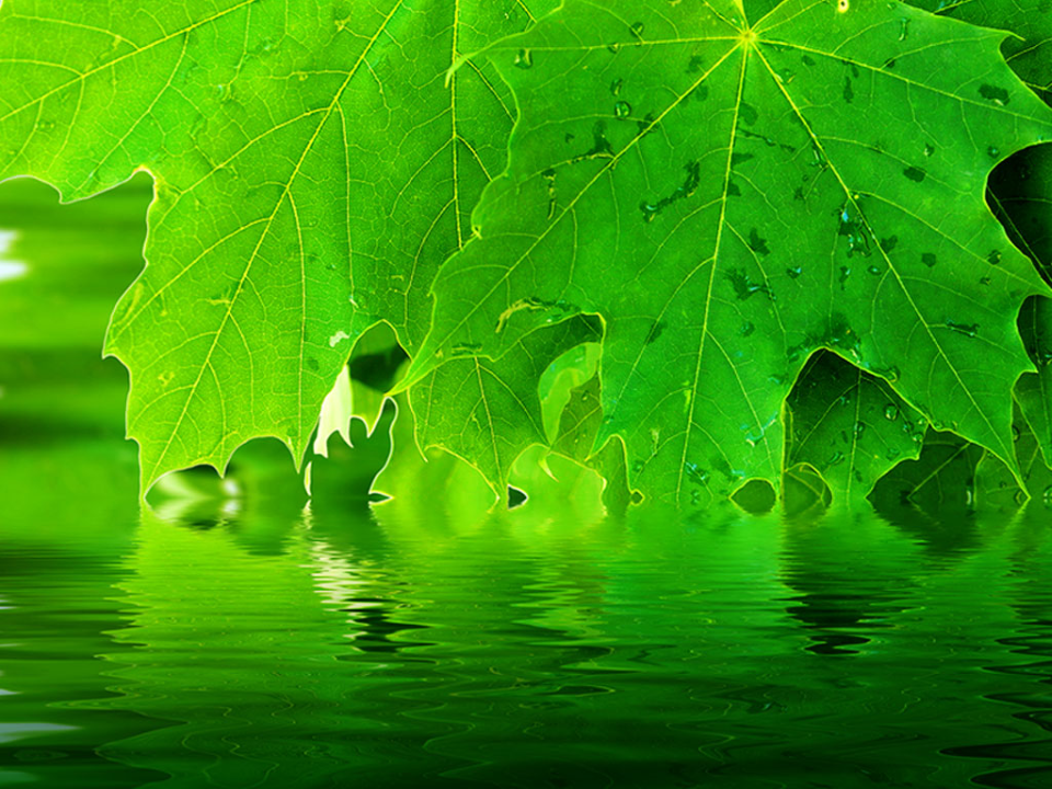 Detail Powerpoint Background Nature Hd Nomer 32