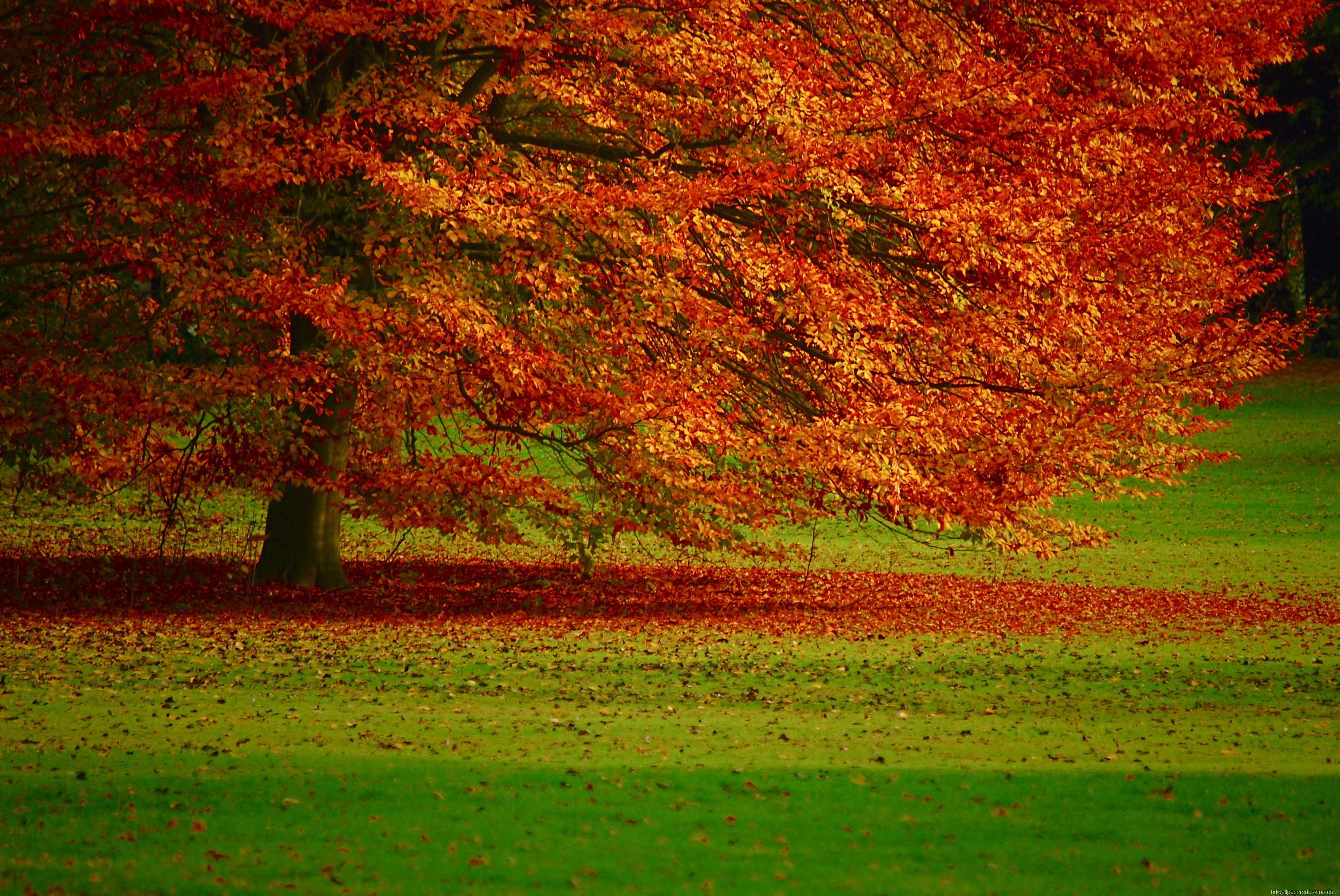 Detail Powerpoint Background Nature Hd Nomer 33