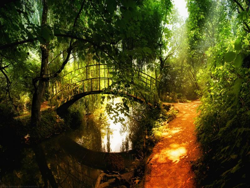 Detail Powerpoint Background Nature Hd Nomer 40