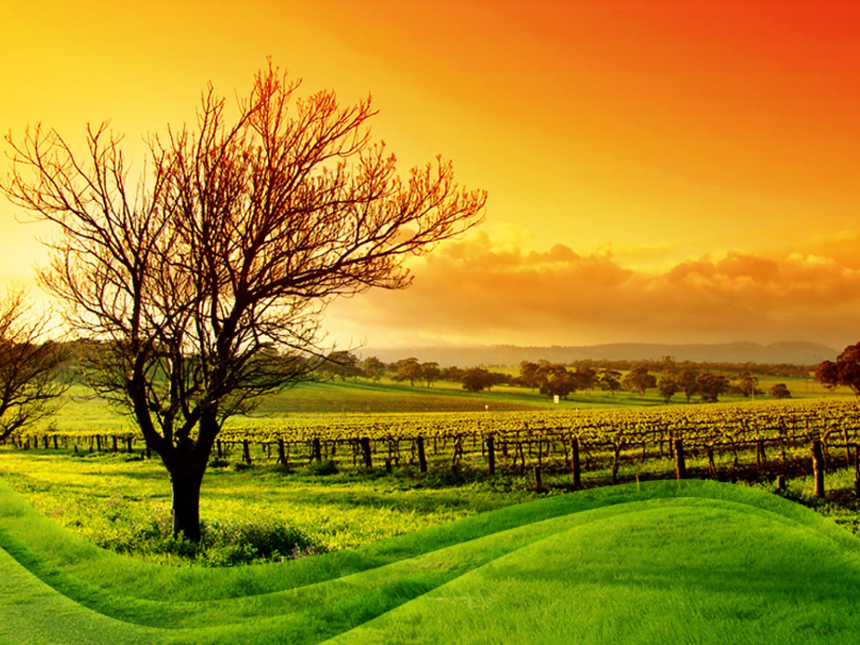 Detail Powerpoint Background Nature Hd Nomer 41