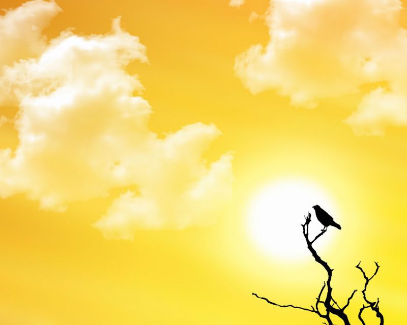 Detail Powerpoint Background Nature Hd Nomer 44
