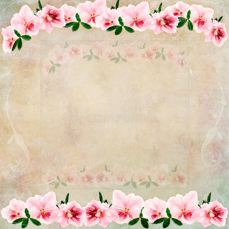 Detail Powerpoint Background Vintage Floral Nomer 7