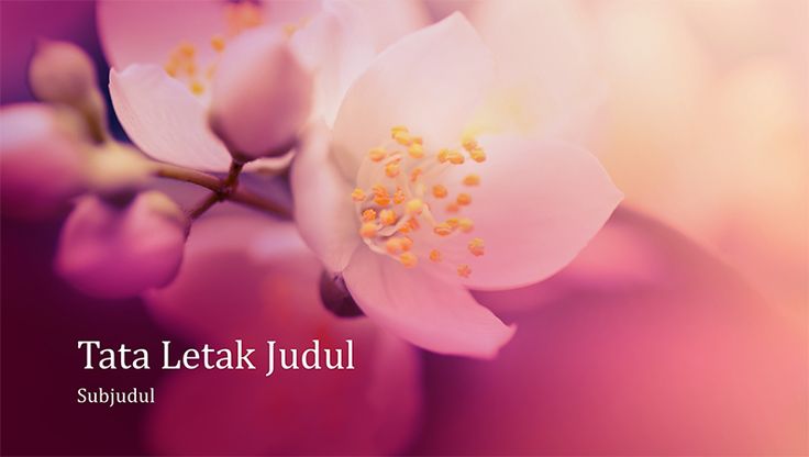 Detail Pp Bunga Nomer 42