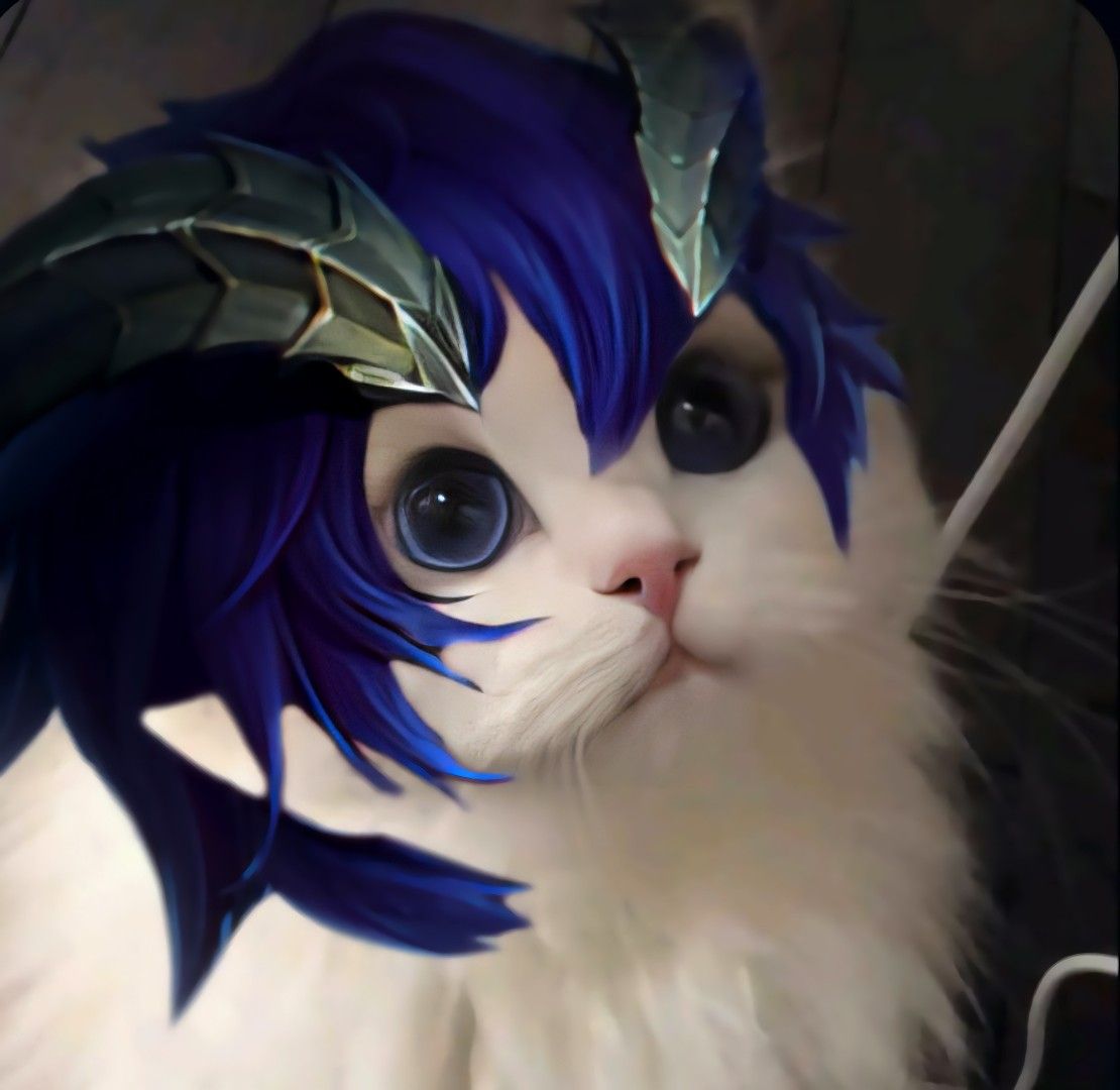 Detail Pp Kucing Ml Nomer 13