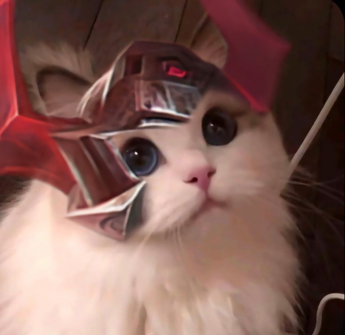 Detail Pp Kucing Ml Nomer 14