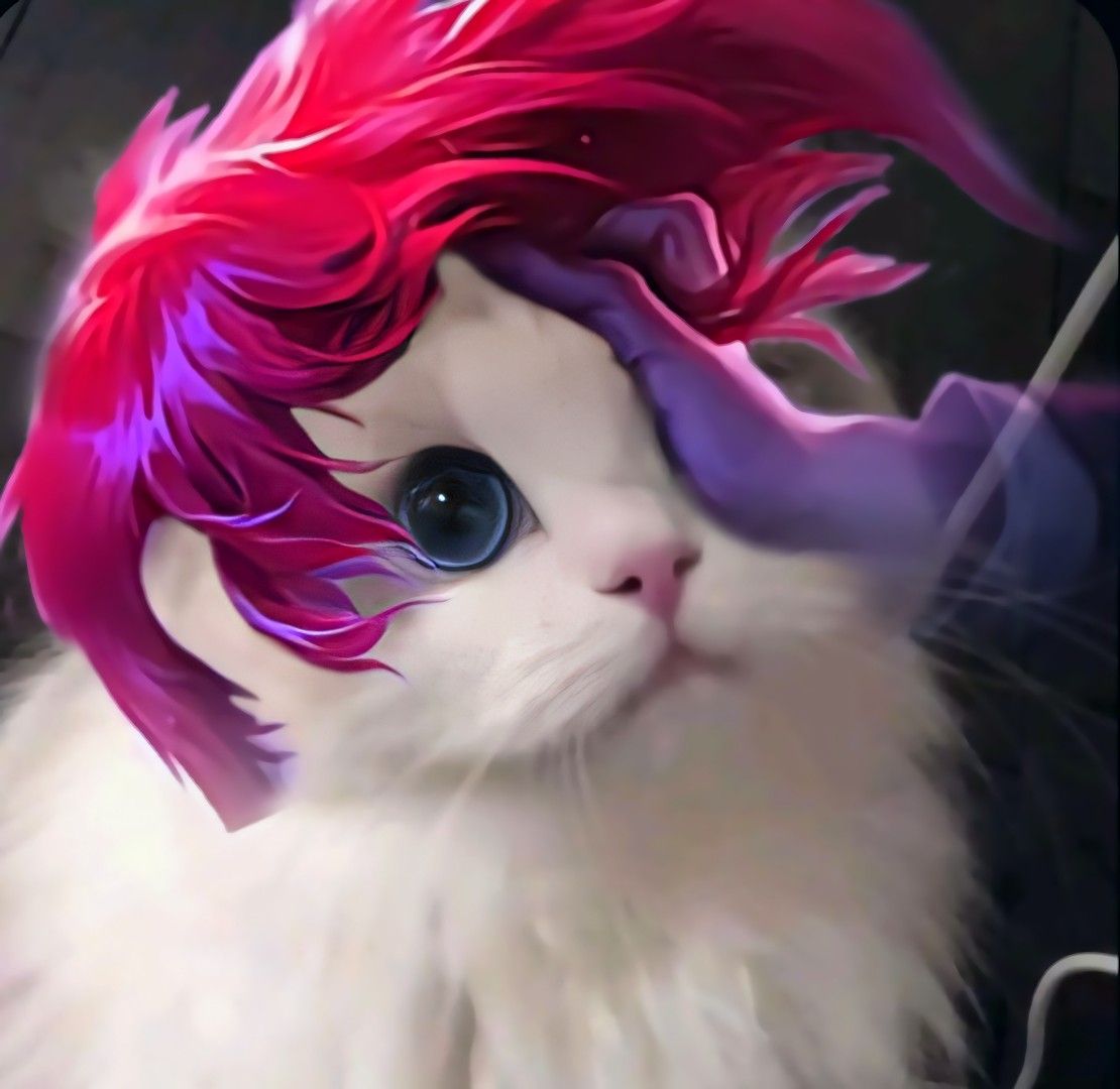 Detail Pp Kucing Ml Nomer 16