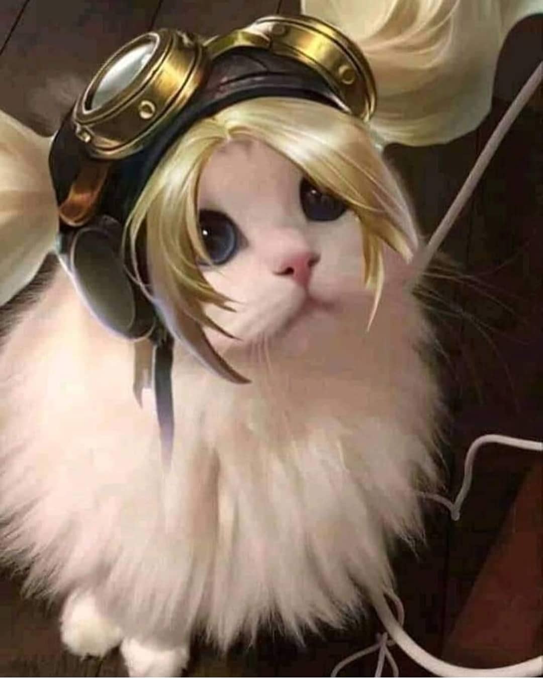 Detail Pp Kucing Ml Nomer 22
