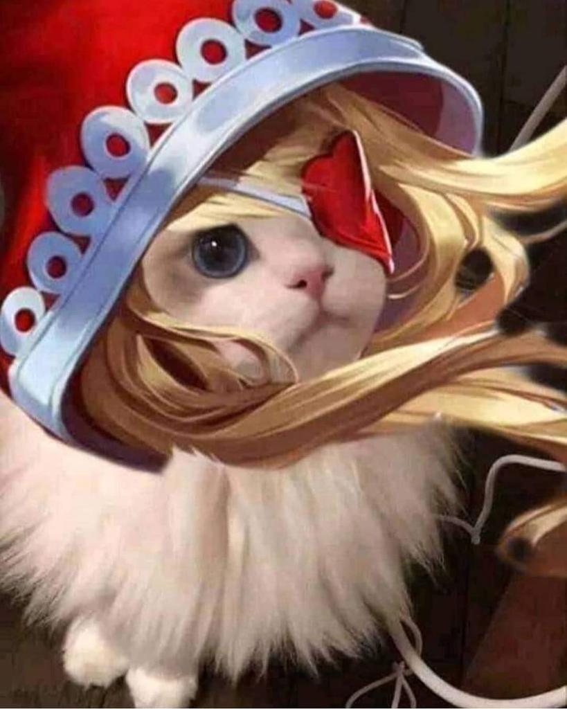 Detail Pp Kucing Ml Nomer 24