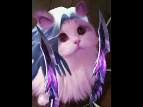 Detail Pp Kucing Ml Nomer 28