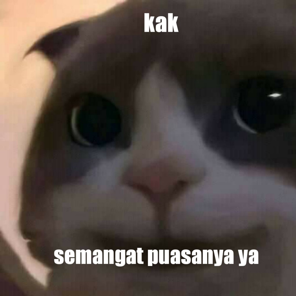 Detail Pp Kucing Ml Nomer 36
