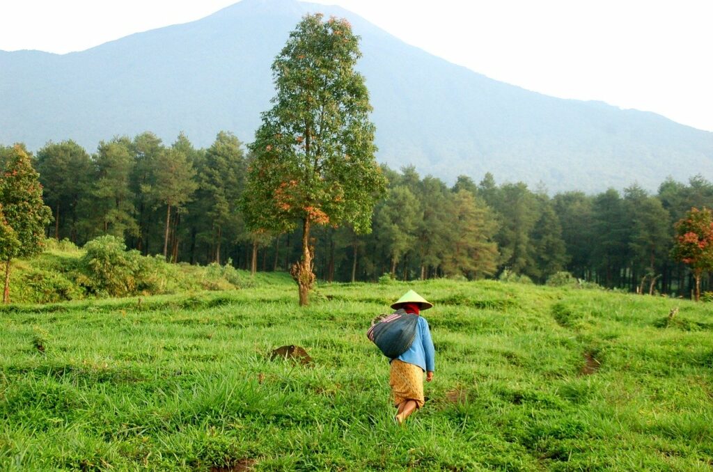 Detail Pp Wa Pemandangan Indah Nomer 23