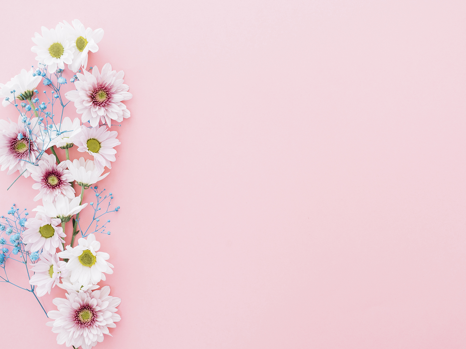 Detail Ppt Background Flowers Nomer 7