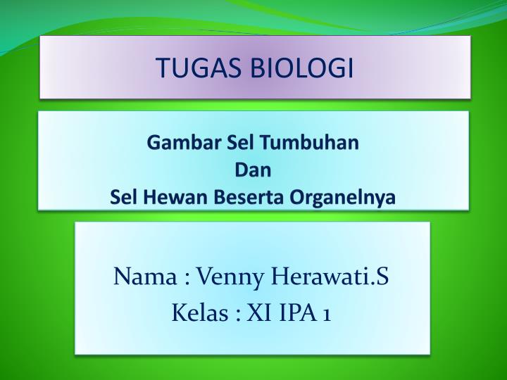 Detail Ppt Biologi Sel Nomer 20