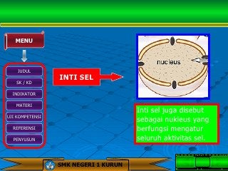 Detail Ppt Biologi Sel Nomer 31