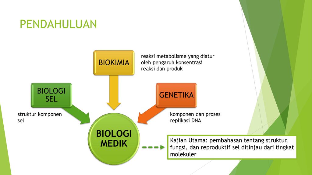 Detail Ppt Biologi Sel Nomer 6