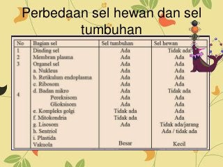 Detail Ppt Biologi Sel Nomer 50