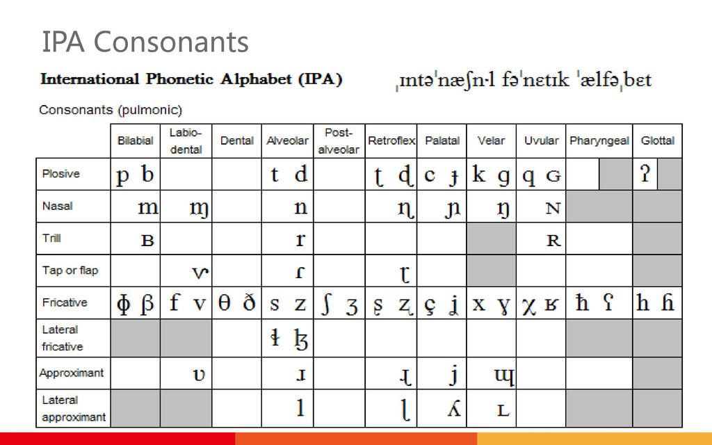 Detail Ppt Ipa Nomer 11