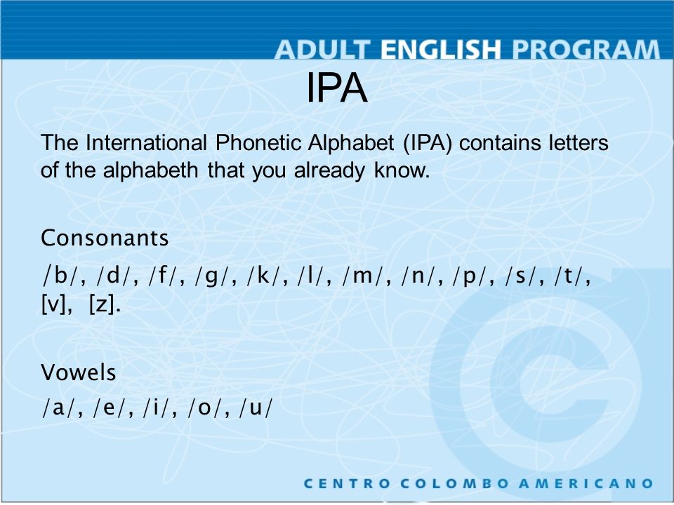 Detail Ppt Ipa Nomer 52