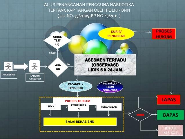 Detail Ppt Narkoba 2018 Nomer 35
